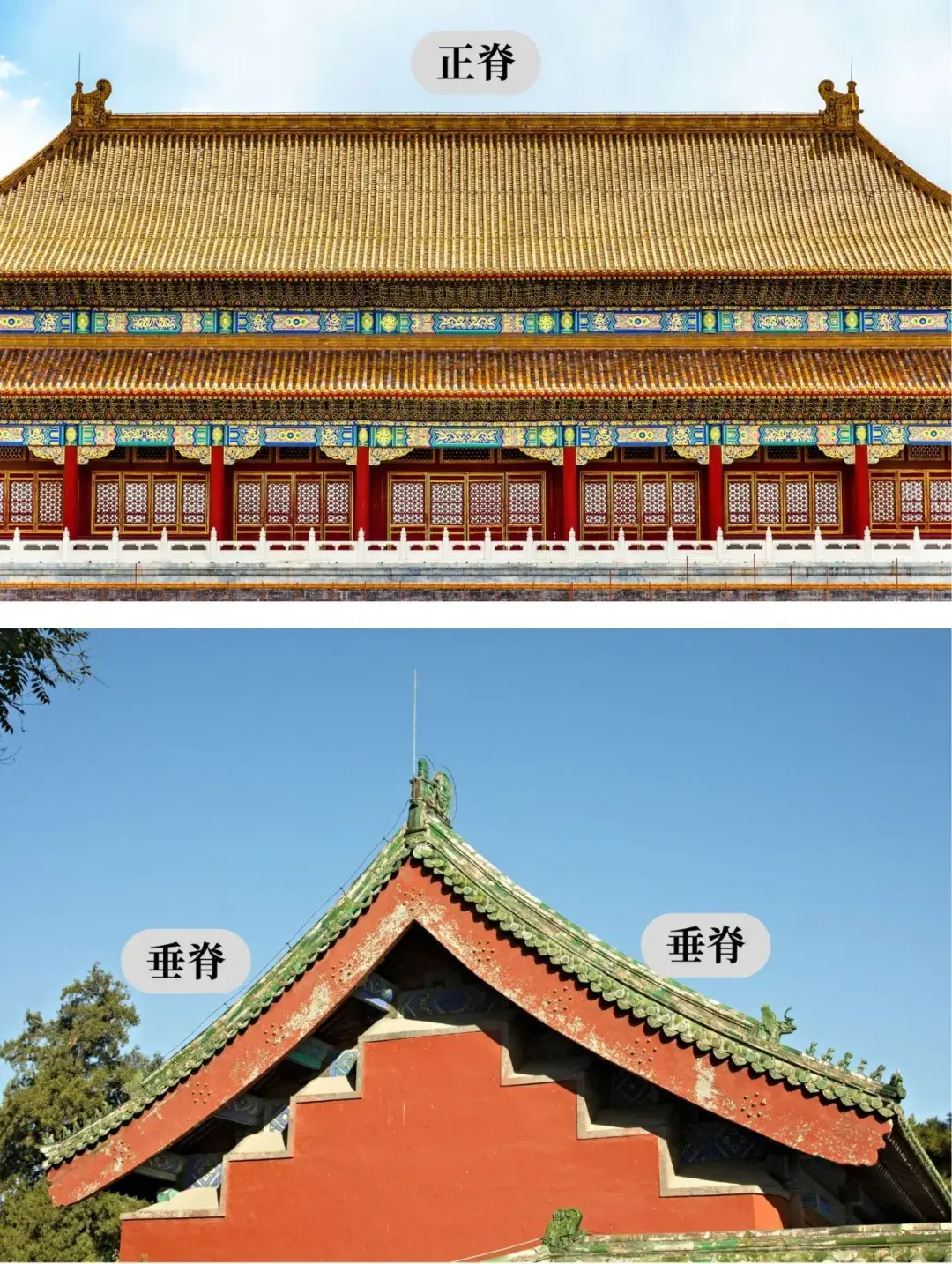 什么是“五脊六兽”？ - 知乎