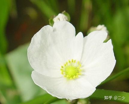 v2-54c5a803b7c1cead5cd4a51b9a5663fe_r.jpg