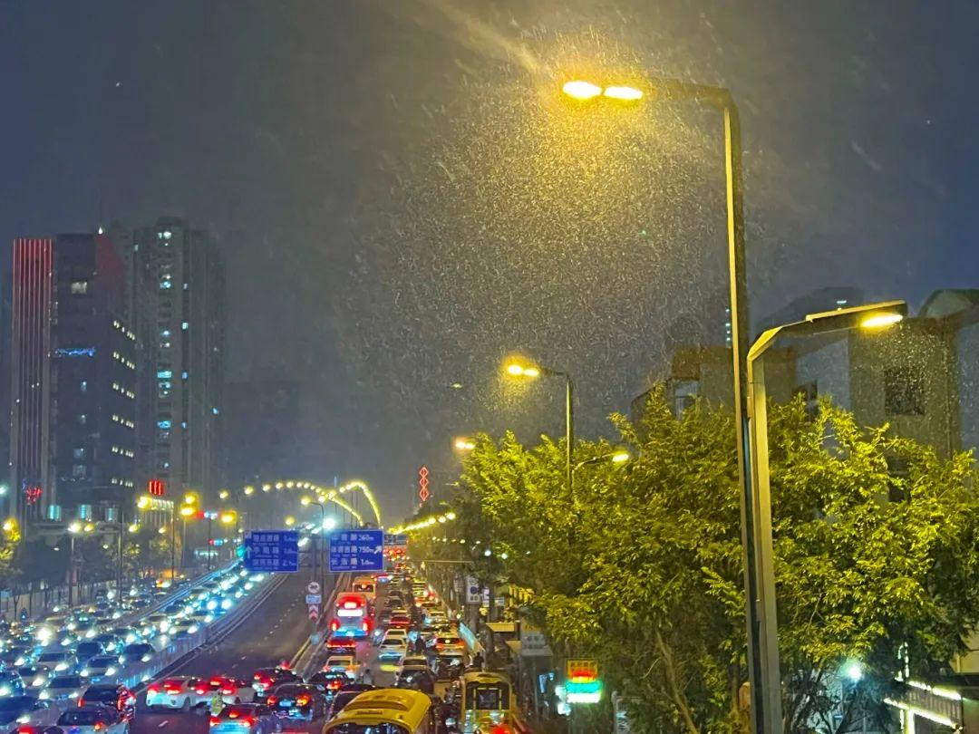 大雪转雨夹雪图片