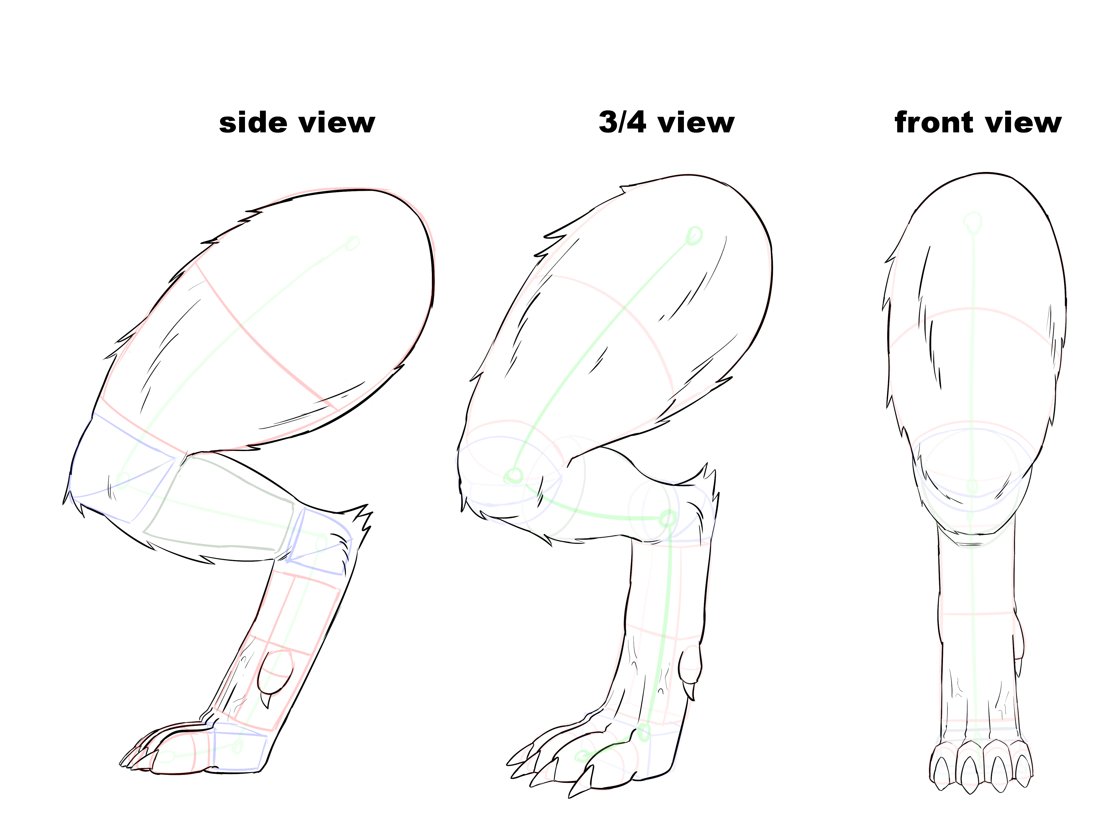 如何画兽设 身体结构图片
