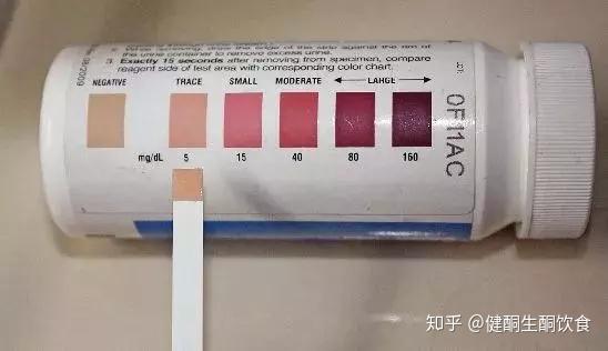 生酮操作指南：血酮、尿酮、尿隐血怎么检测？ - 知乎