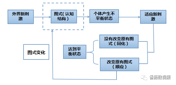 谁可以给我举一些简单的例子来了解皮亚杰的同化顺应平衡和图示