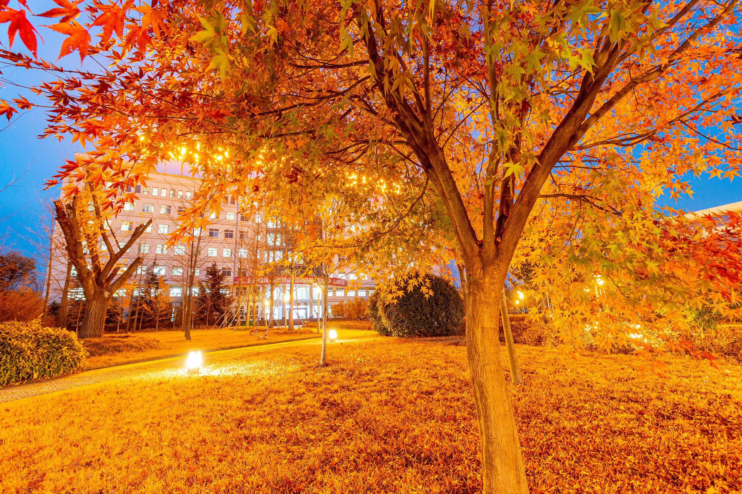 今天带你去看夜幕下鲁南制药的流光溢彩