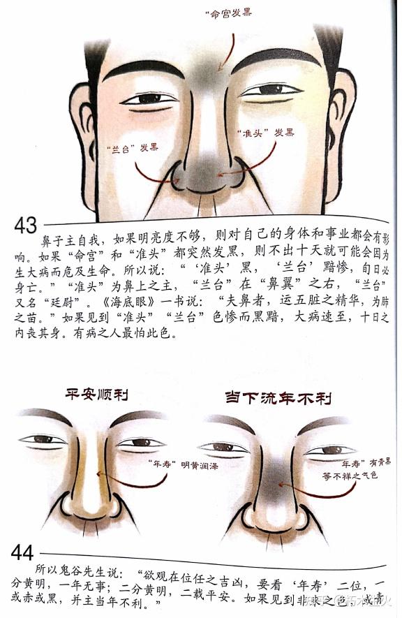 东山相法(东山面相)——第二十三篇:五官 审辨官(鼻子) - 知乎