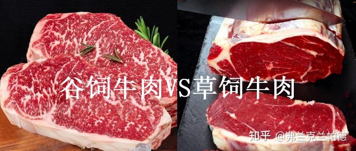 10,草饲牛肉vs谷饲牛肉