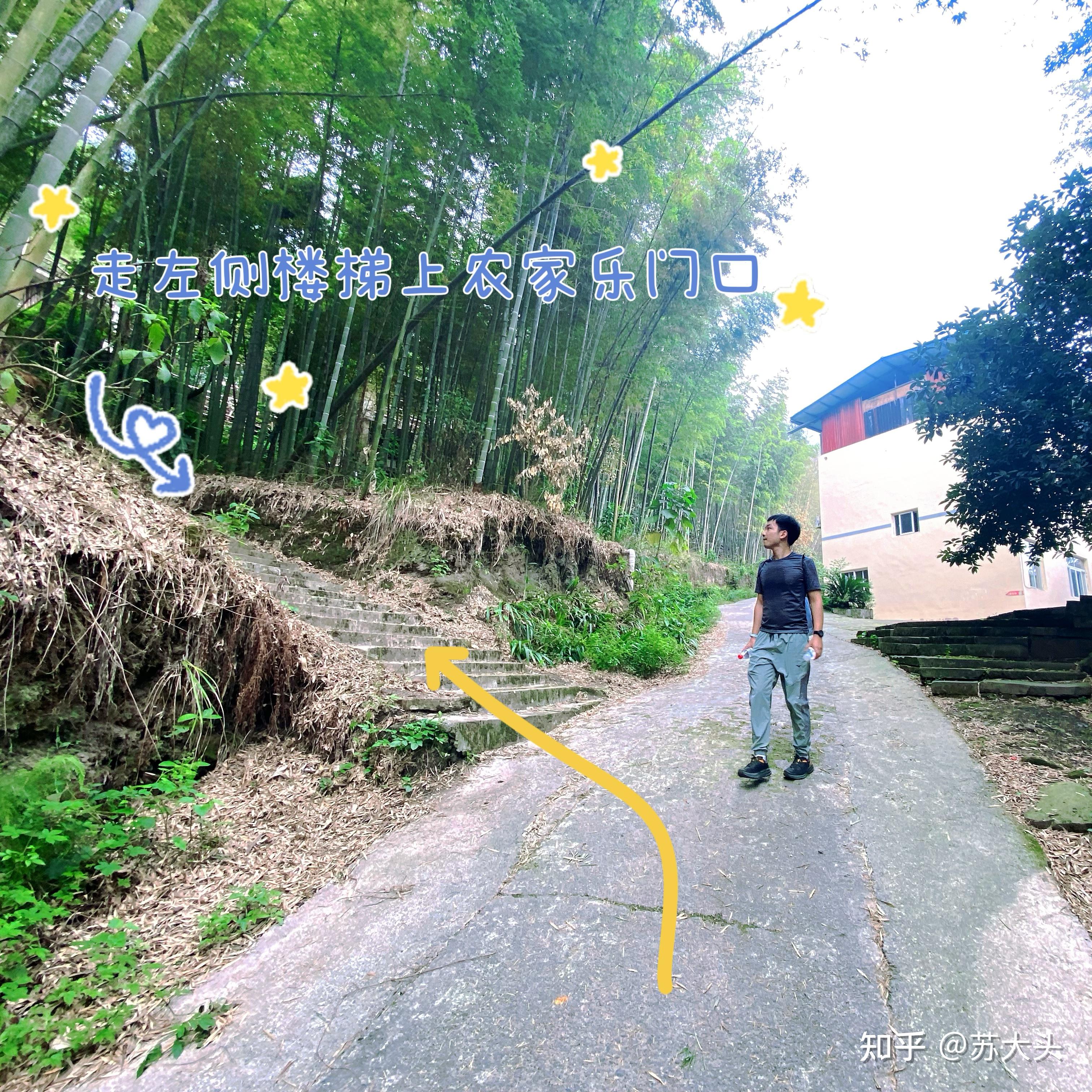 重庆徒步爬山圣地：缙云山免门票上山详细路线指引 - 知乎