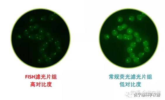 滿足用戶不同的通道需求明星產品推薦掃描類型:明場,6通道免疫熒光