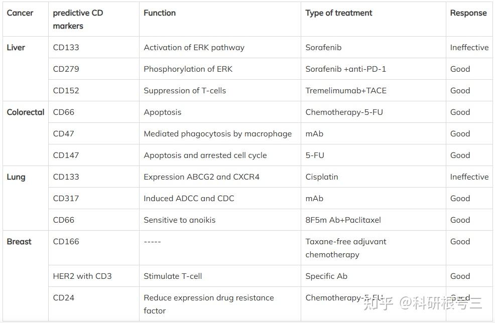 一文搞清用于各类细胞鉴定的CD分子（附CD1-CD371分子功能表） - 知乎