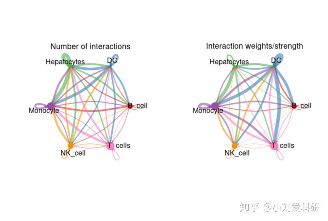 CellChat：单细胞测序-细胞互作 - 知乎