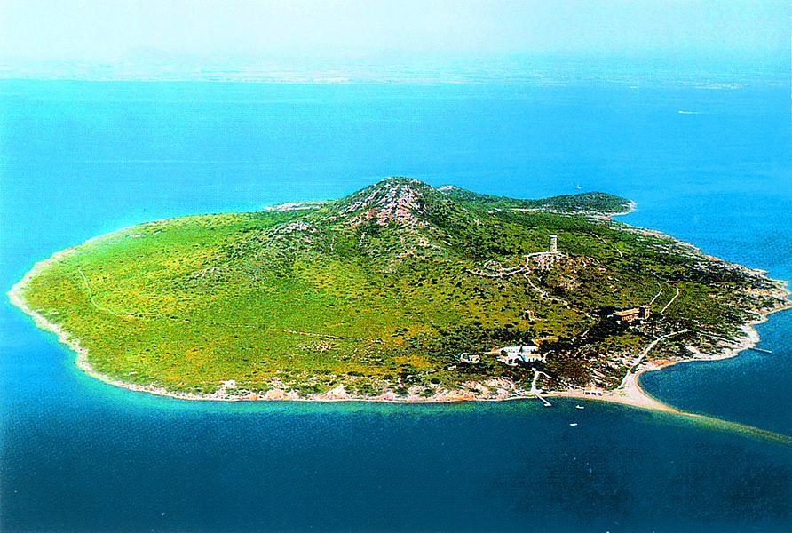 "孤岛效应"(island effect)一直是语言学界的一个热点话题.