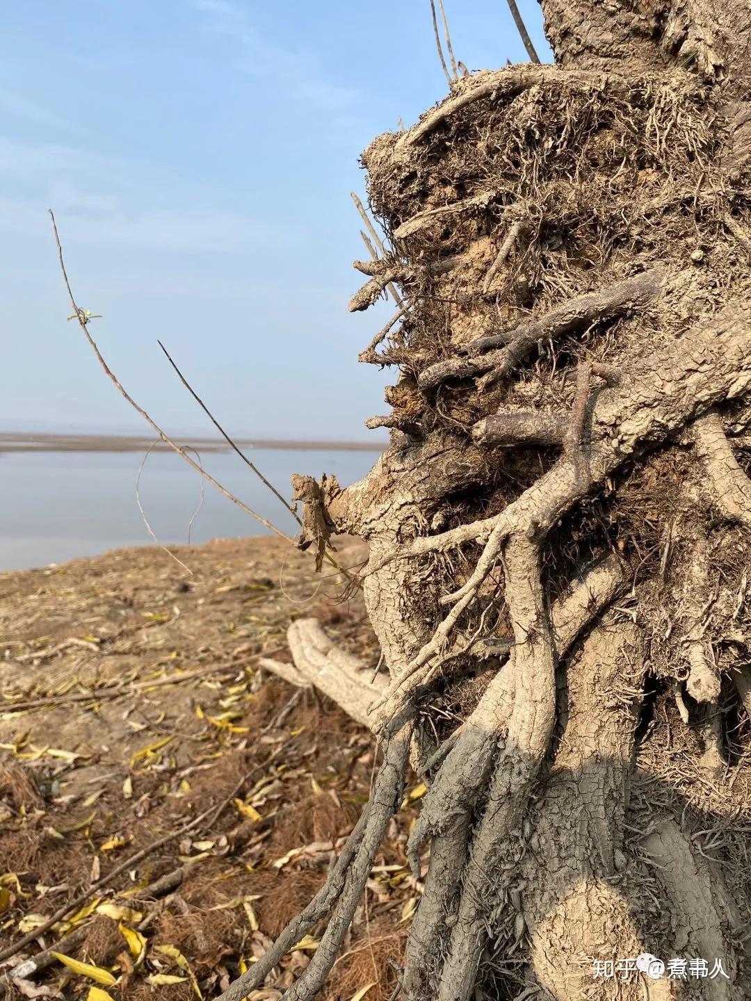 半末文学(停滞世界的只能是心)