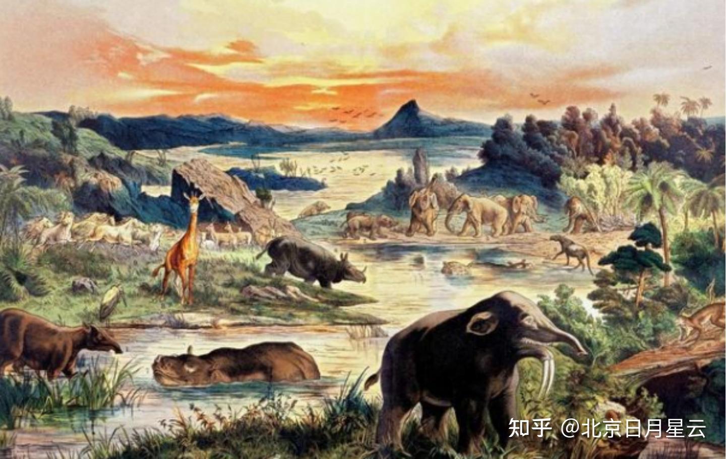 地球历史(三)——哺乳动物时代 - 知乎