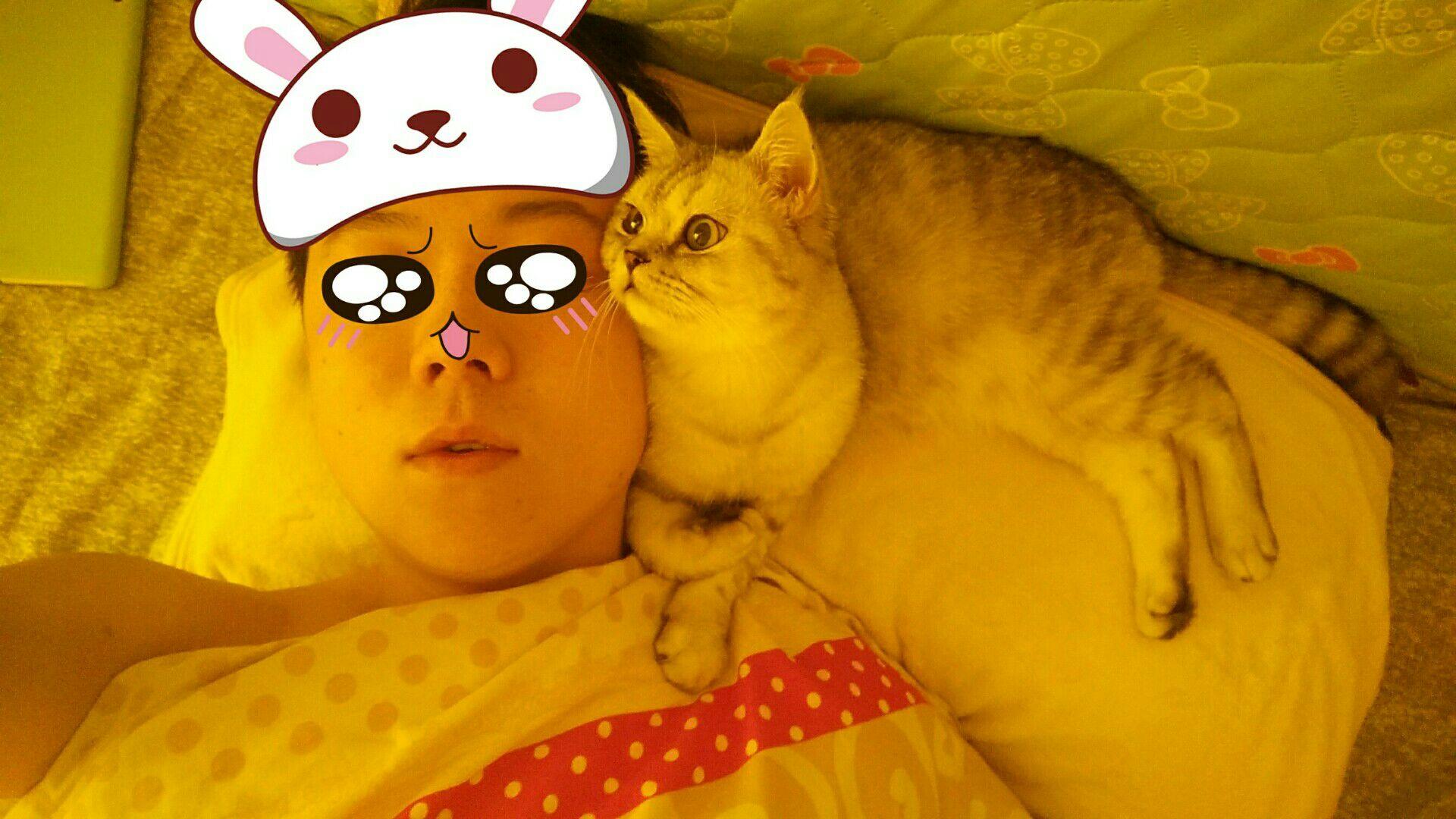 云养猫是什么样的体验?