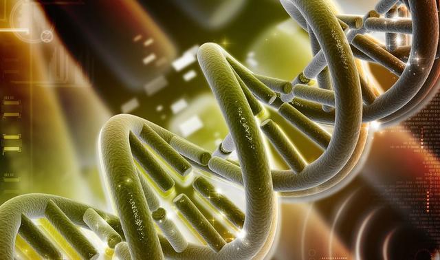 意识的起源dna感应光量子并影响光量子具有感应的双向性