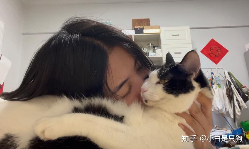 当你疯狂“吸猫”的时候，原来猫咪它的想法有这么多！ - 知乎