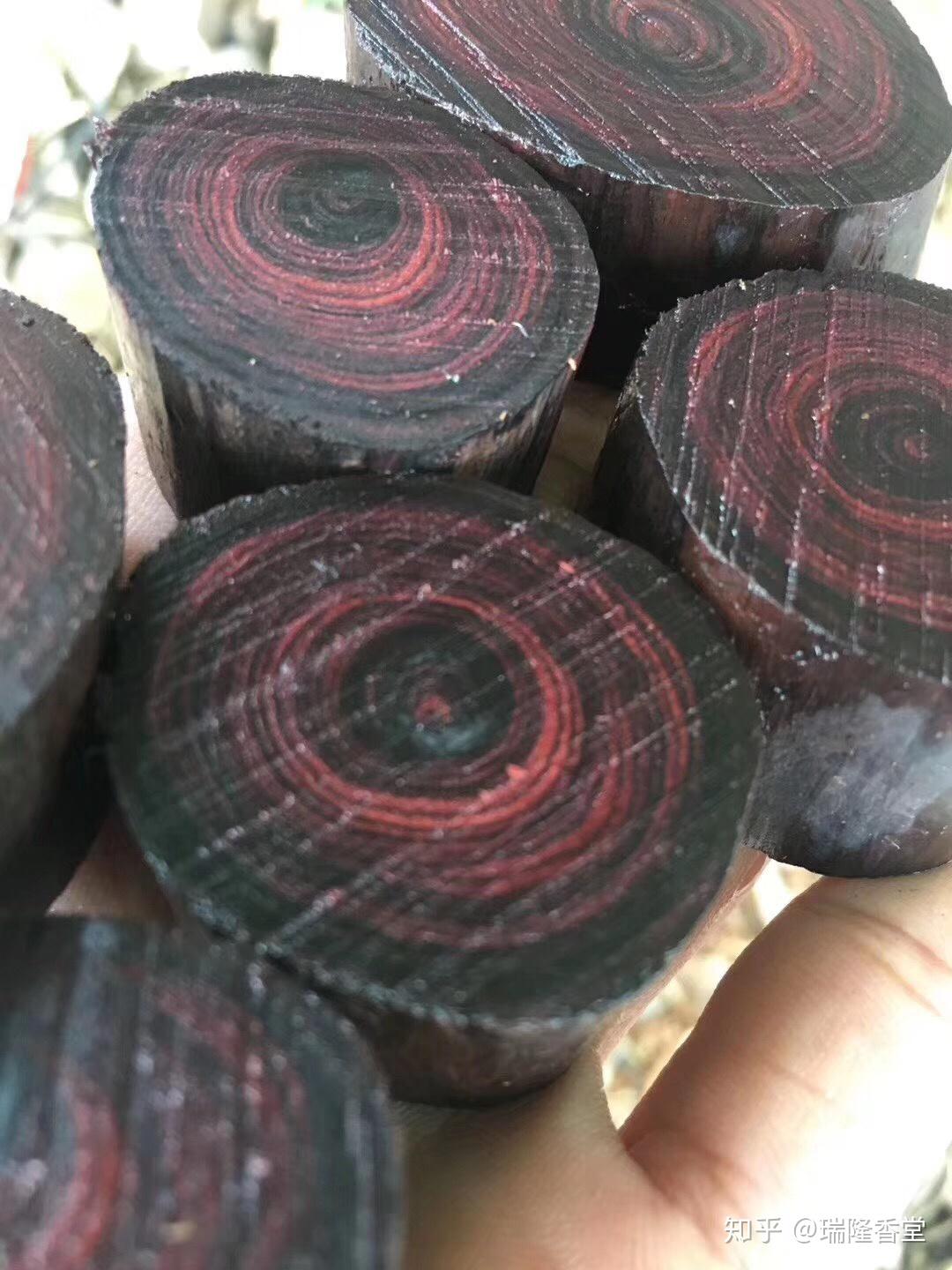 降香黄檀真的有药用价值吗