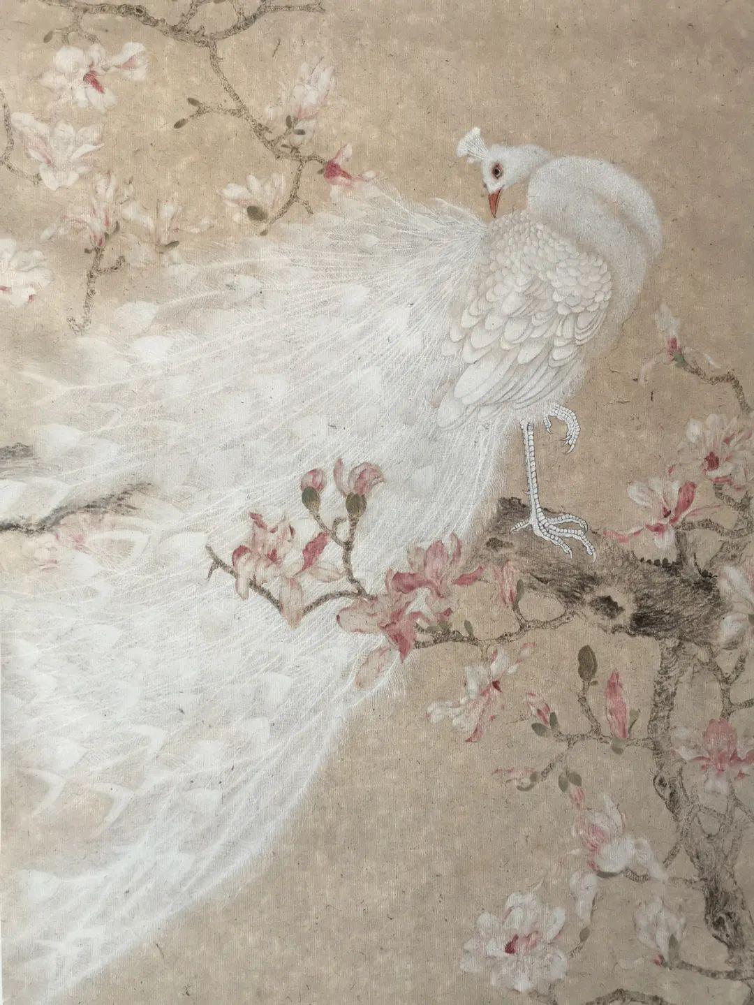 私享·收藏丨王德芳:白孔雀