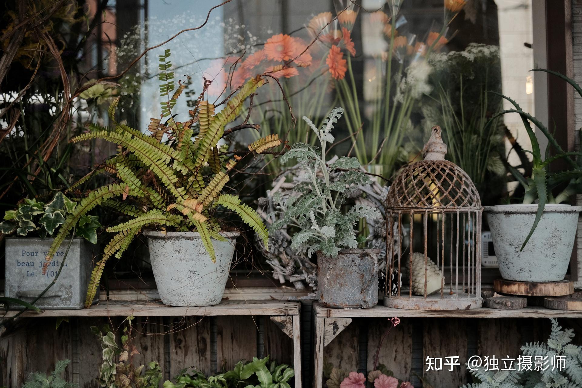福伦达ULTRON 27mm F2富士X口镜头正式上架 - 知乎