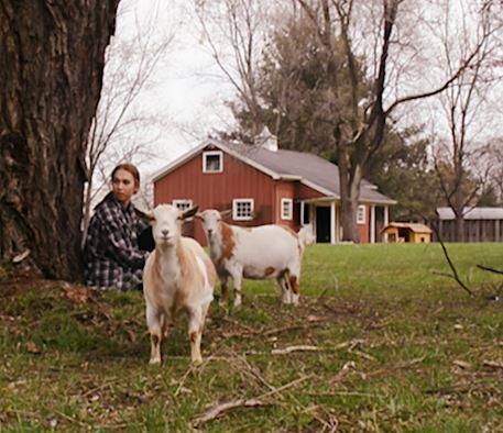 画梦的孩子神童画家阿琪雅纳akianekramarik的照片与神奇人生多图欣赏