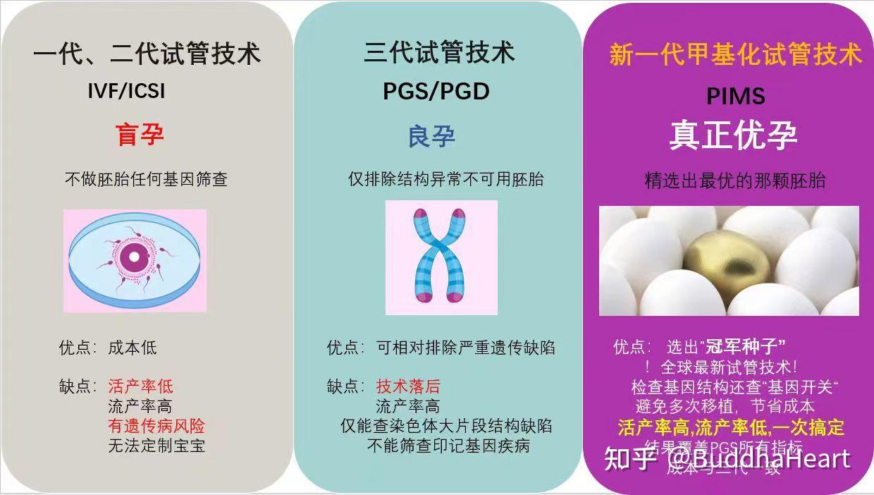 试管颠覆性创新：胚胎植入前甲基化筛查- 知乎