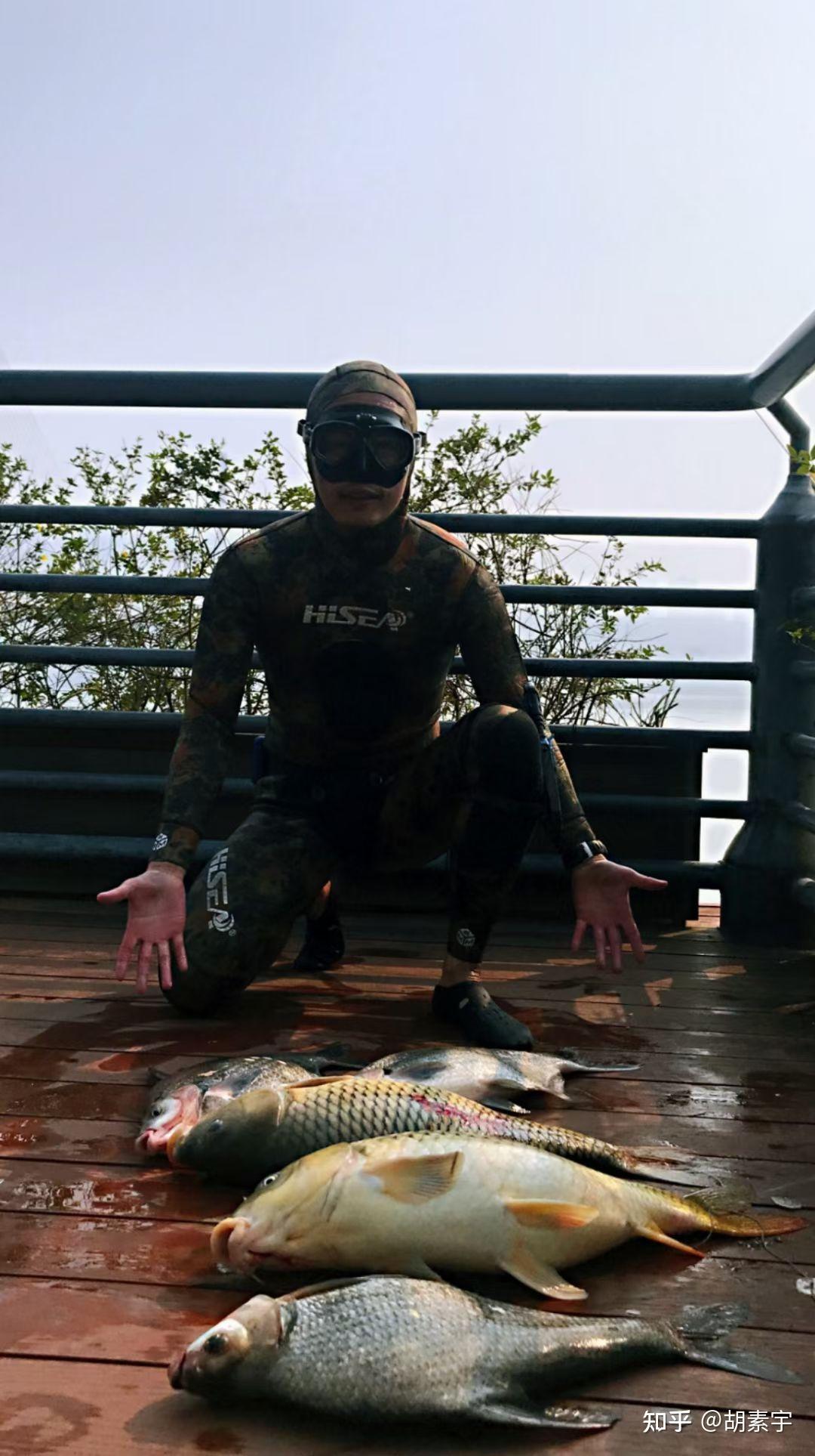 冬季自由潜水渔猎之难得爆护提不动