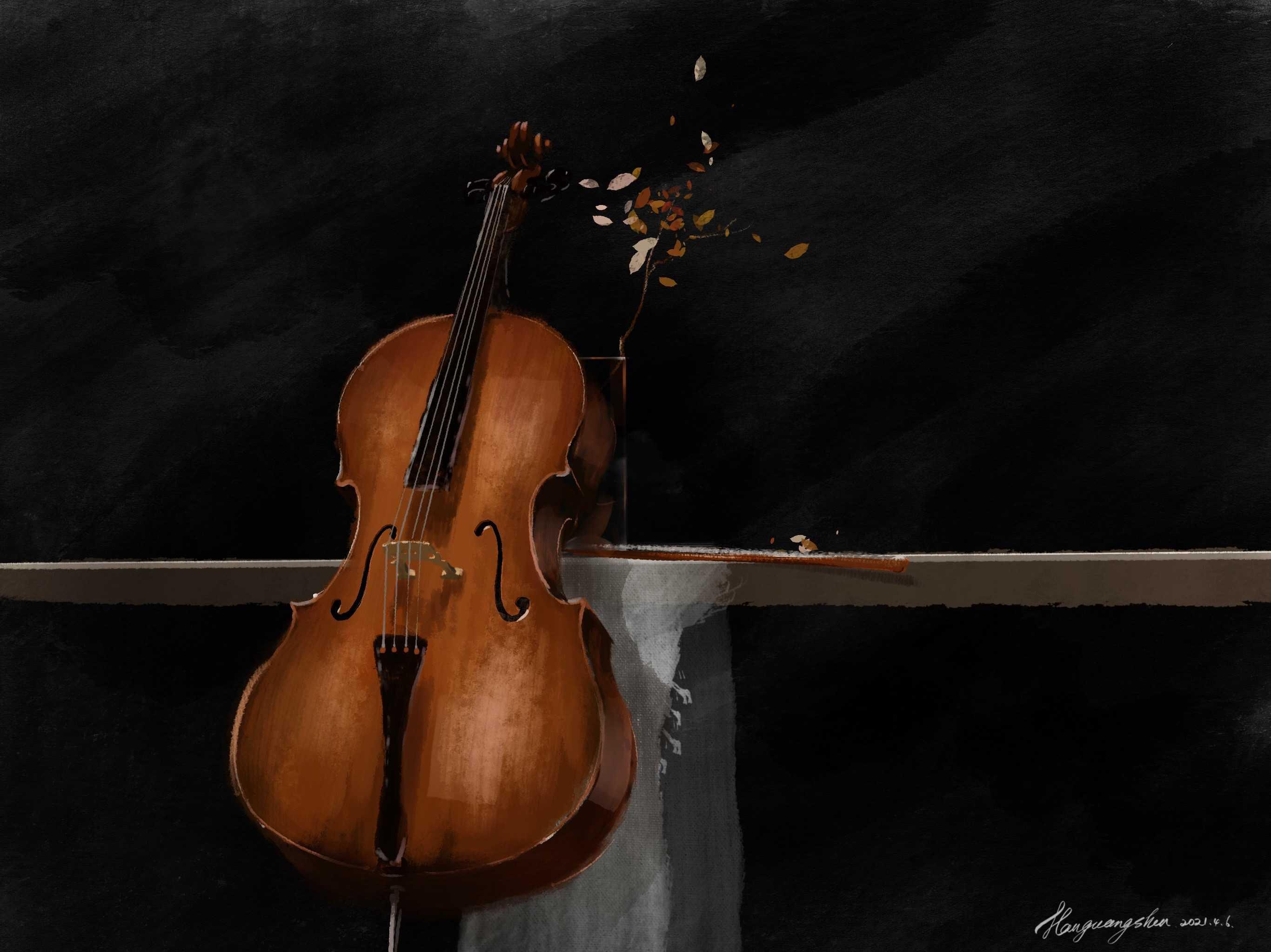 有点迷上了大提琴最近在b站看了一些大提琴拉流行乐的视频将军说他不