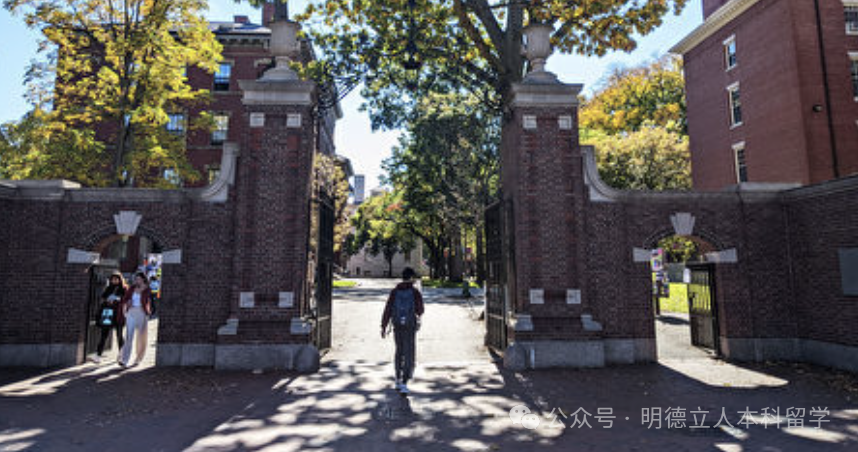 美国本科选专业 美国本科选专业