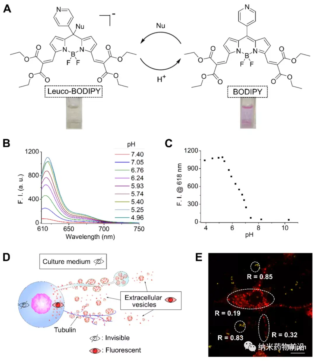 香港中文大学蔡宗衡nanolett对ph可逆的荧光探针用于对细胞外囊泡及其