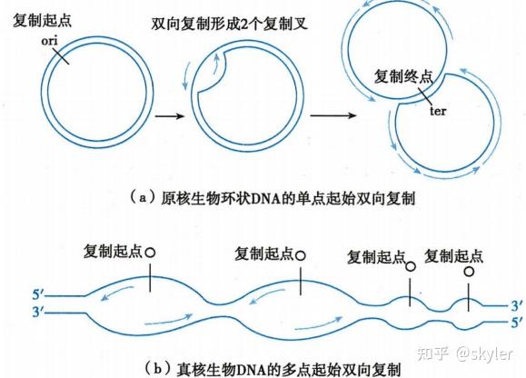 生物化学笔记(临床医学) - 知乎