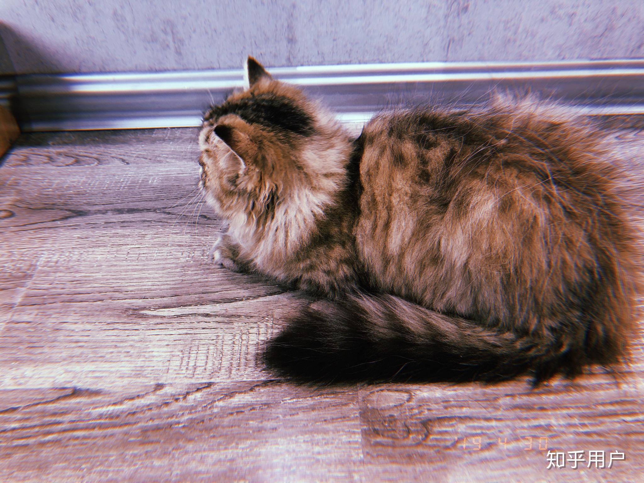 苏州配眼镜哪里好?