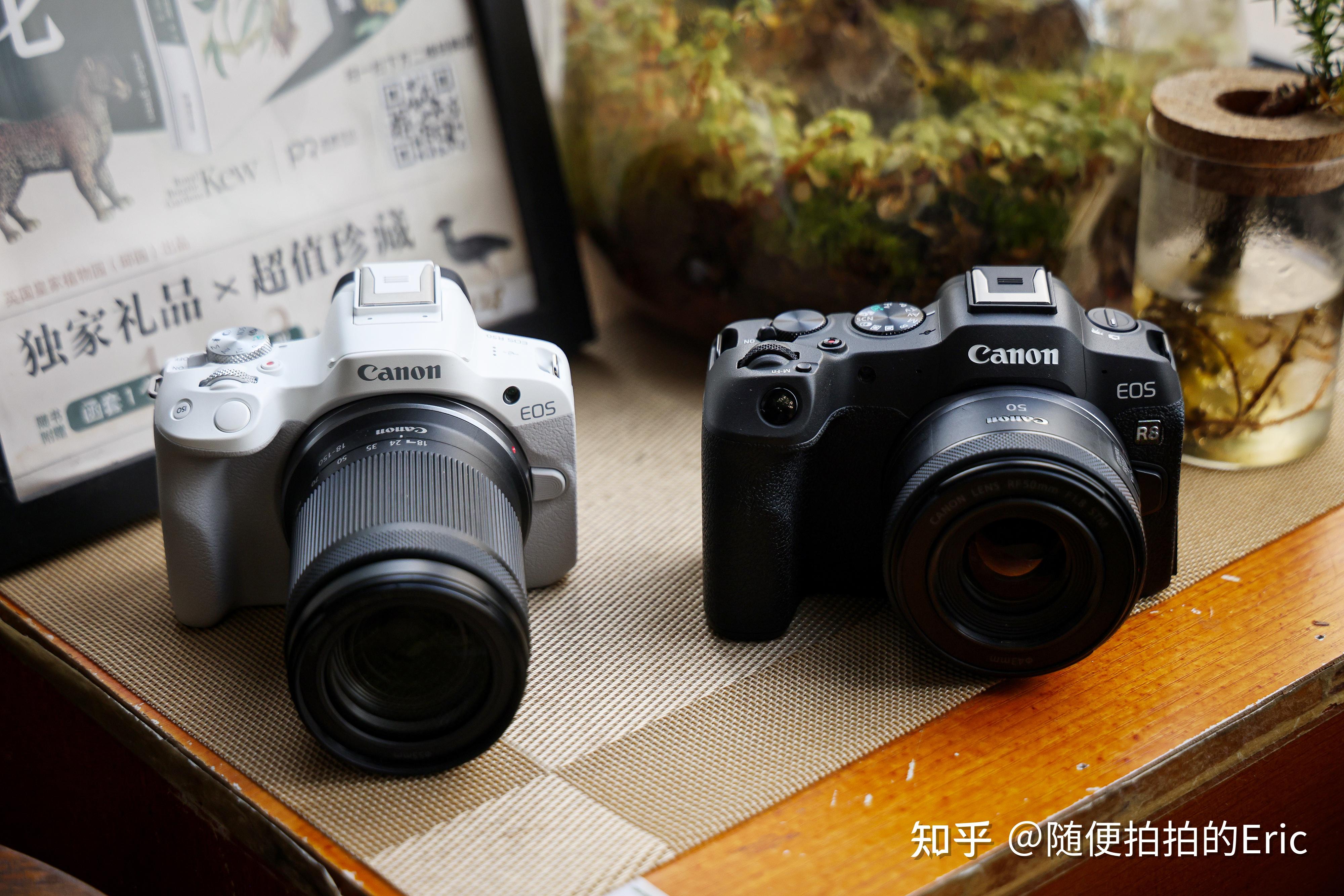 佳能EOS R8和EOS R50：只有巴掌大的全画幅微单你喜欢吗？