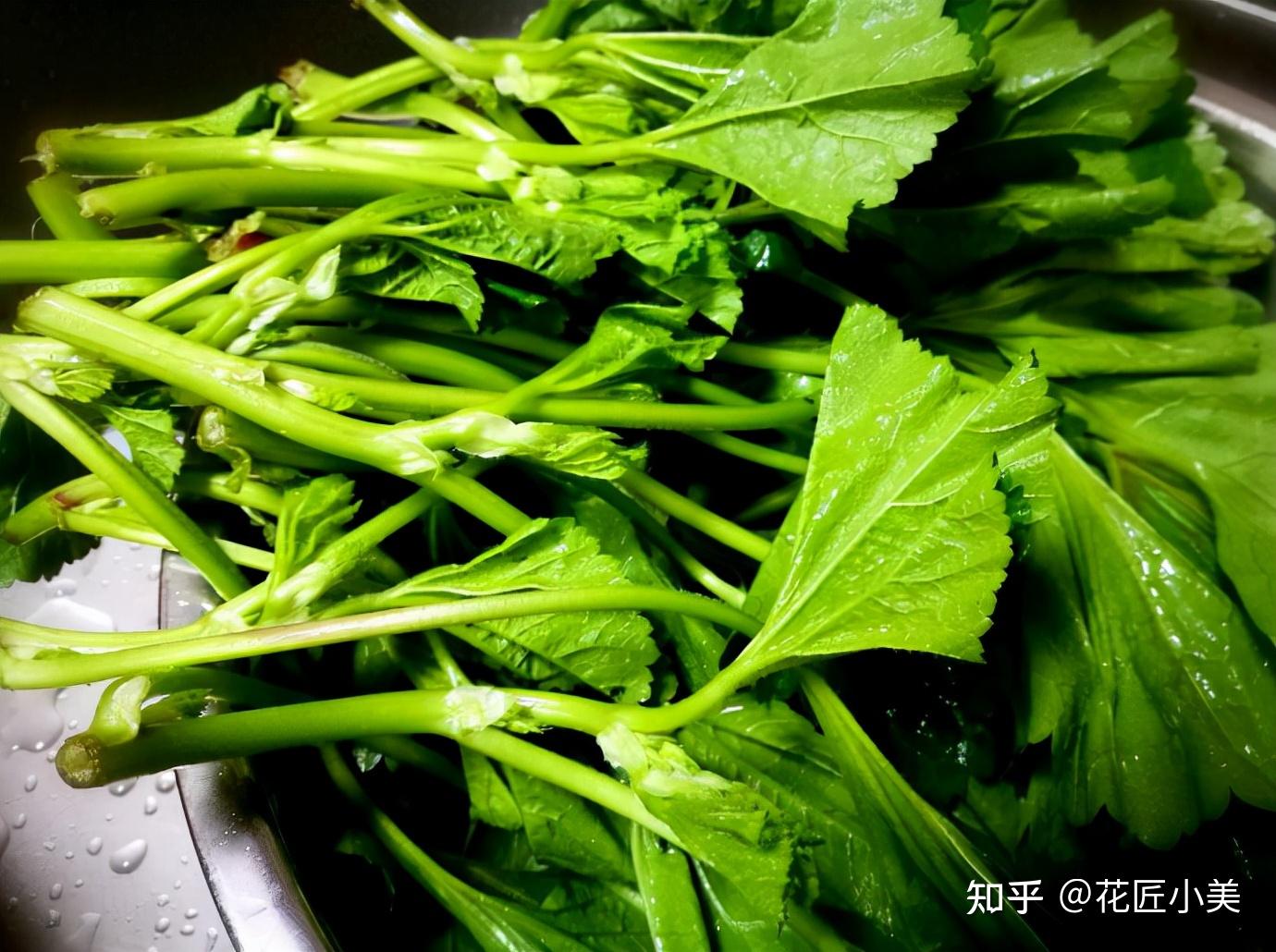 曾是古人园中葵，泸人称为“冬寒菜”，吃它季节却是春天_泸州_中国_地方
