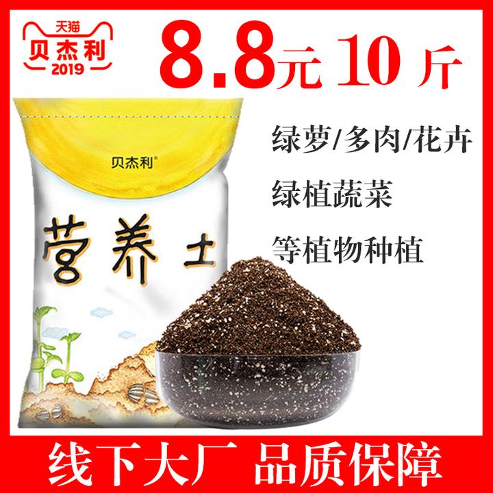 技巧篇 两张图教你学会多肉配土 知乎 技巧篇 两张图教你学会多肉配土 知乎