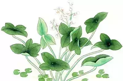 21三伏时间表 三伏天 自己养自己的日子 最全的三伏知识 知乎