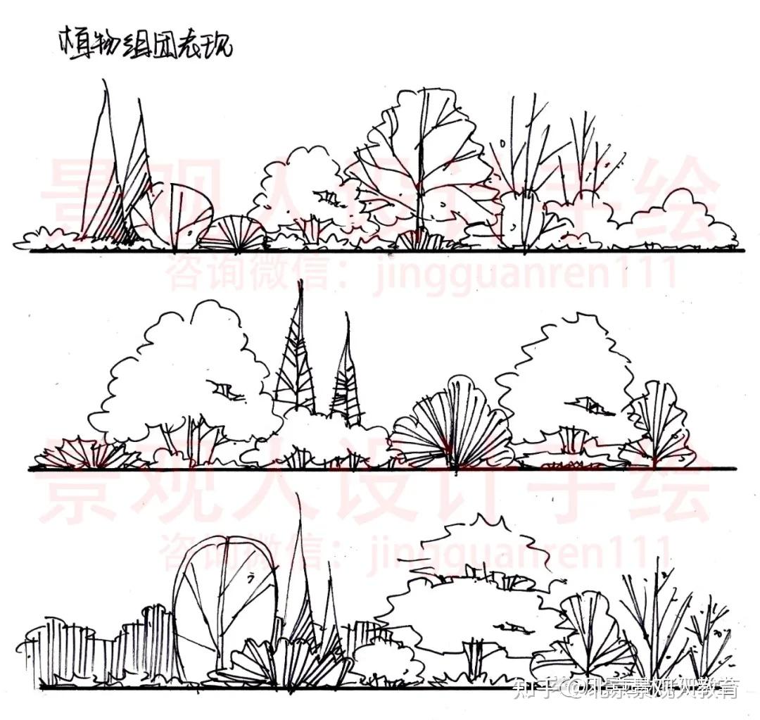 雨水花园剖面图手绘图片