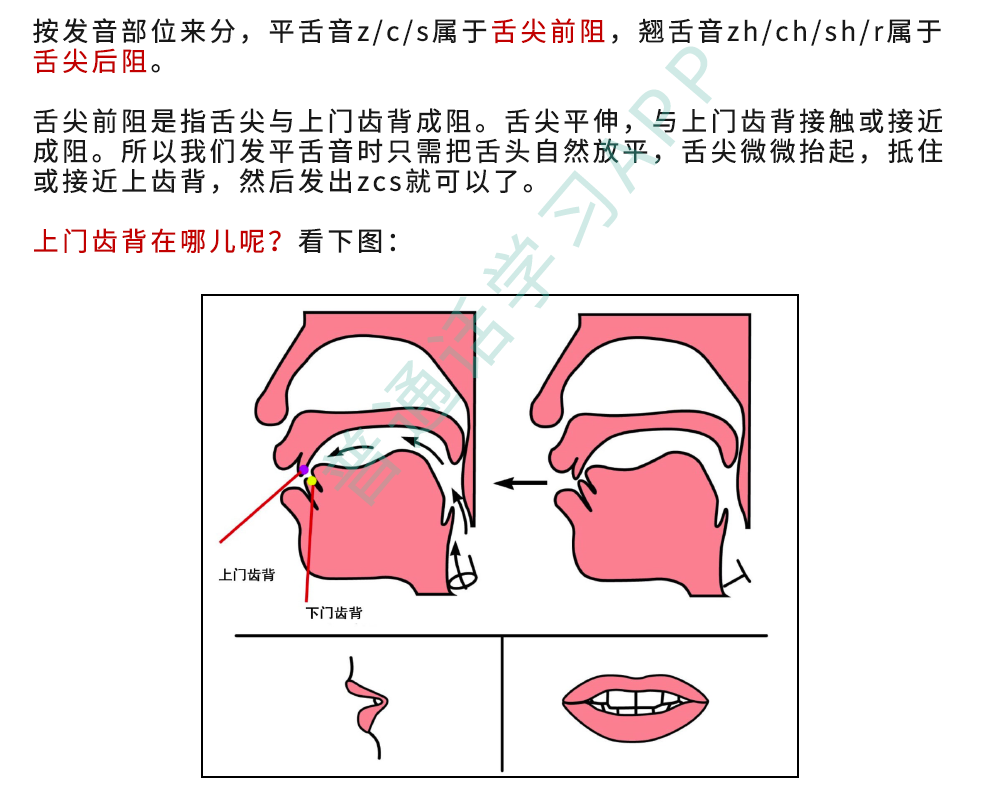 声母篇|做好这三点,纠正平翘舌不分 - 知乎