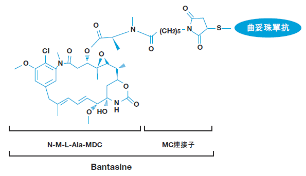 的硫醚键与毒素-连接子batansine(一种美登素衍生物)进行共价连接而成