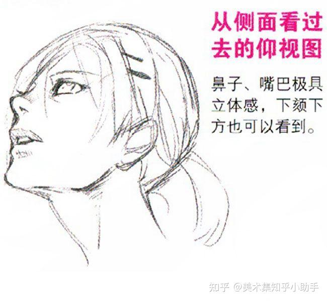 怎么画动漫人物仰视和俯视 - 知乎
