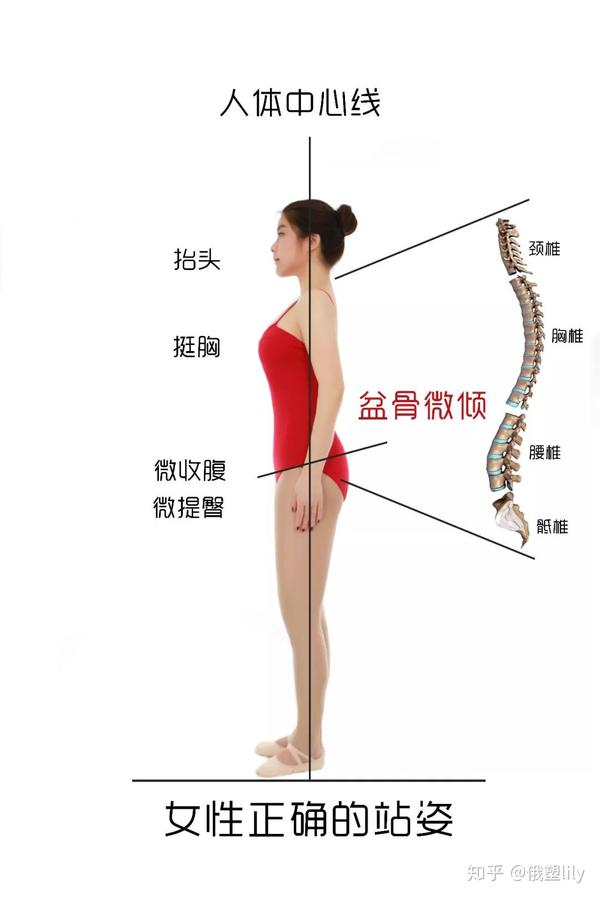 盆骨前倾的误会 知乎