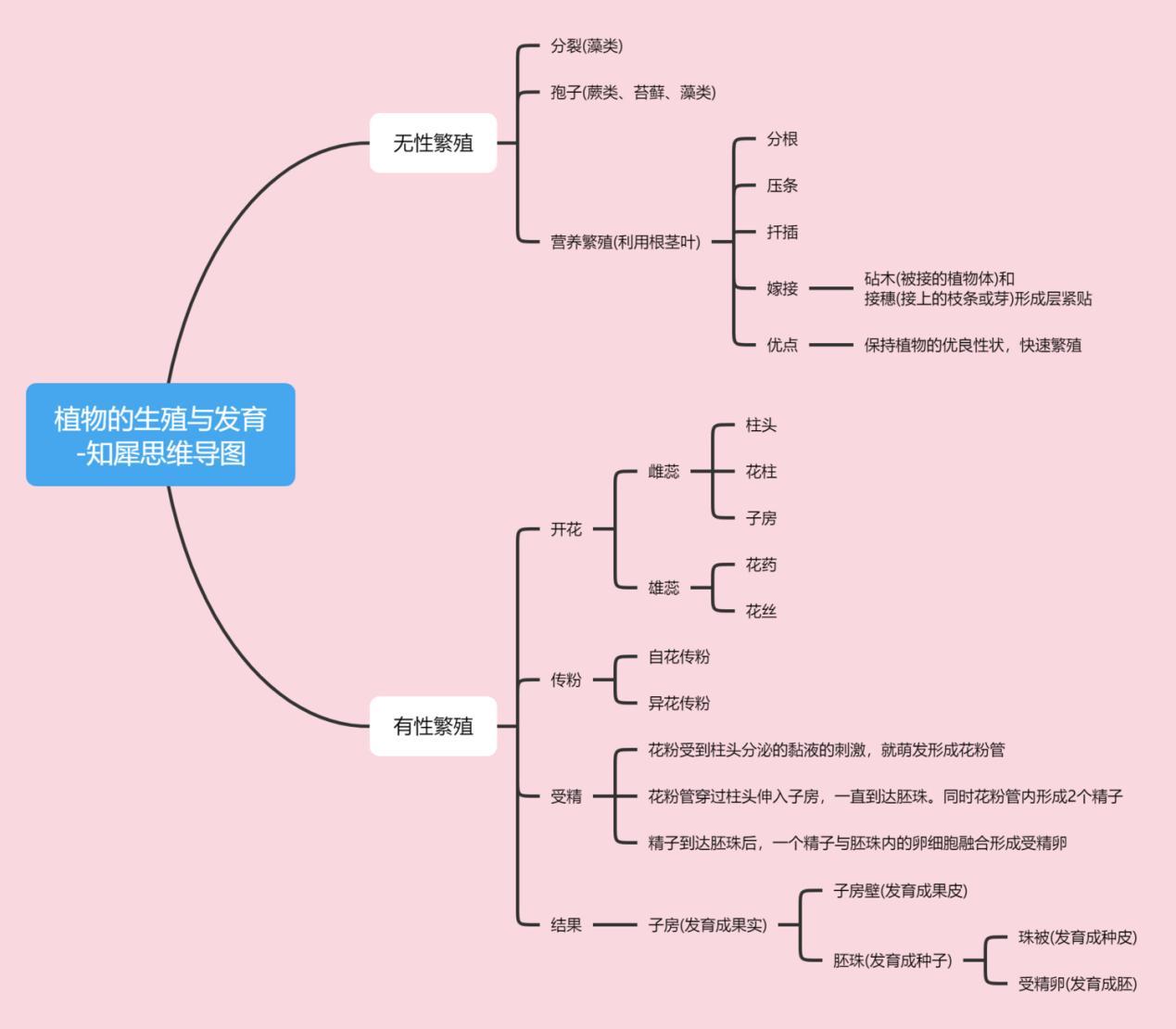 生殖和發育思維導圖初二生物下冊第二章生物的遺傳和變異思維導圖初二