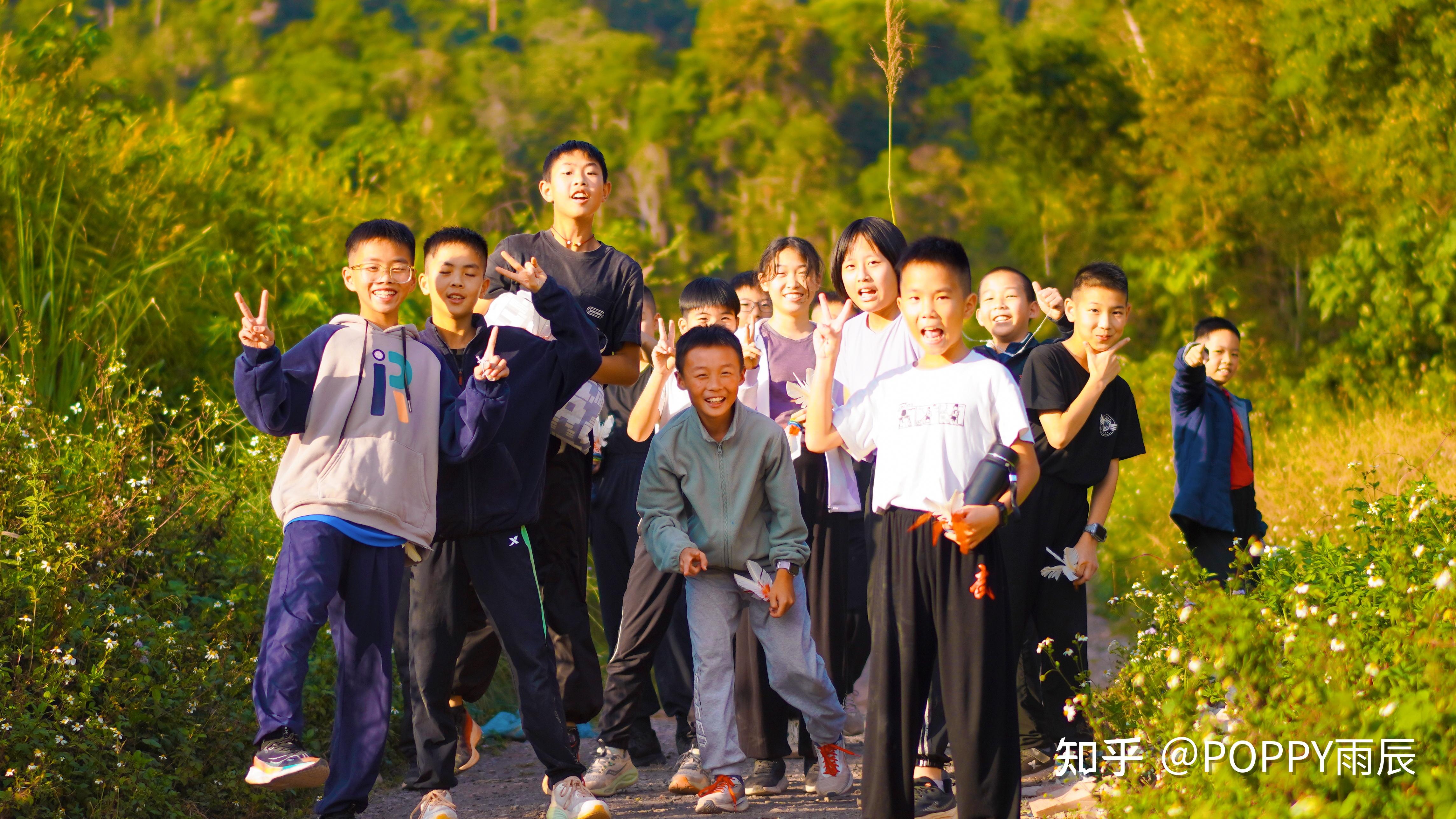 清一新教育|【教学日记】闭关第二周,安静中建立内在秩序 - 知乎