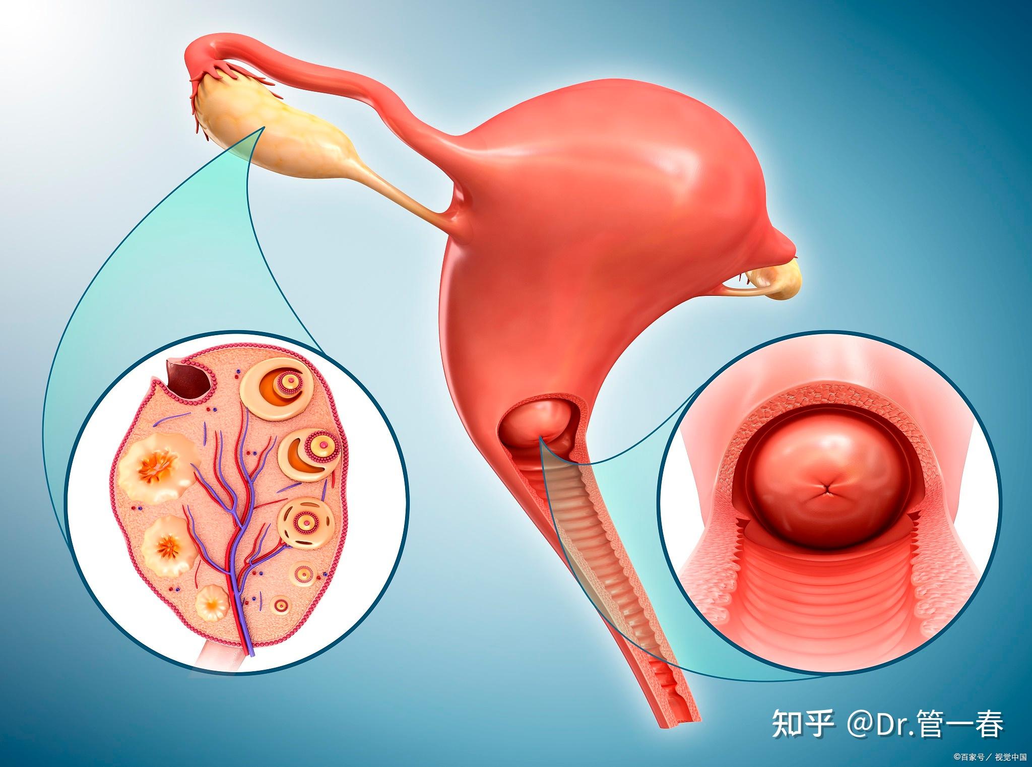 输卵管不通是什么原因引起的应该如何预防输卵管堵塞