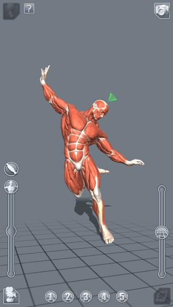 绘画工具 || 5款人体模型的辅助app的简单评测 - 知乎