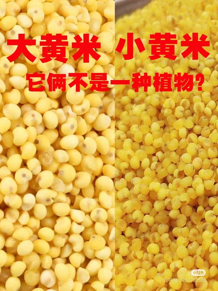 资料存储,各类粮食的古称(先秦,秦汉) - 知乎