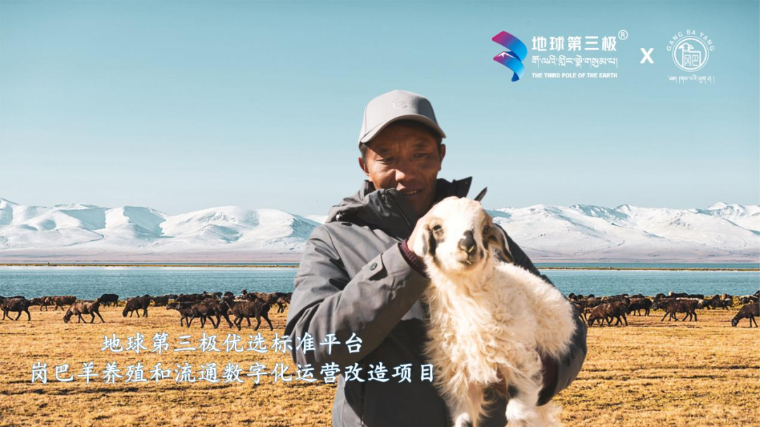 场景创新 平台赋能丨地球第三极优选标准平台喜获新荣 - 知乎