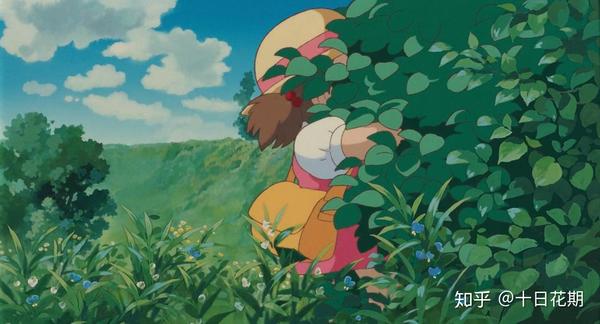 听说 龙猫 终于要在中国院线公映了 一起去更大的荧幕寻宝花草吧 知乎