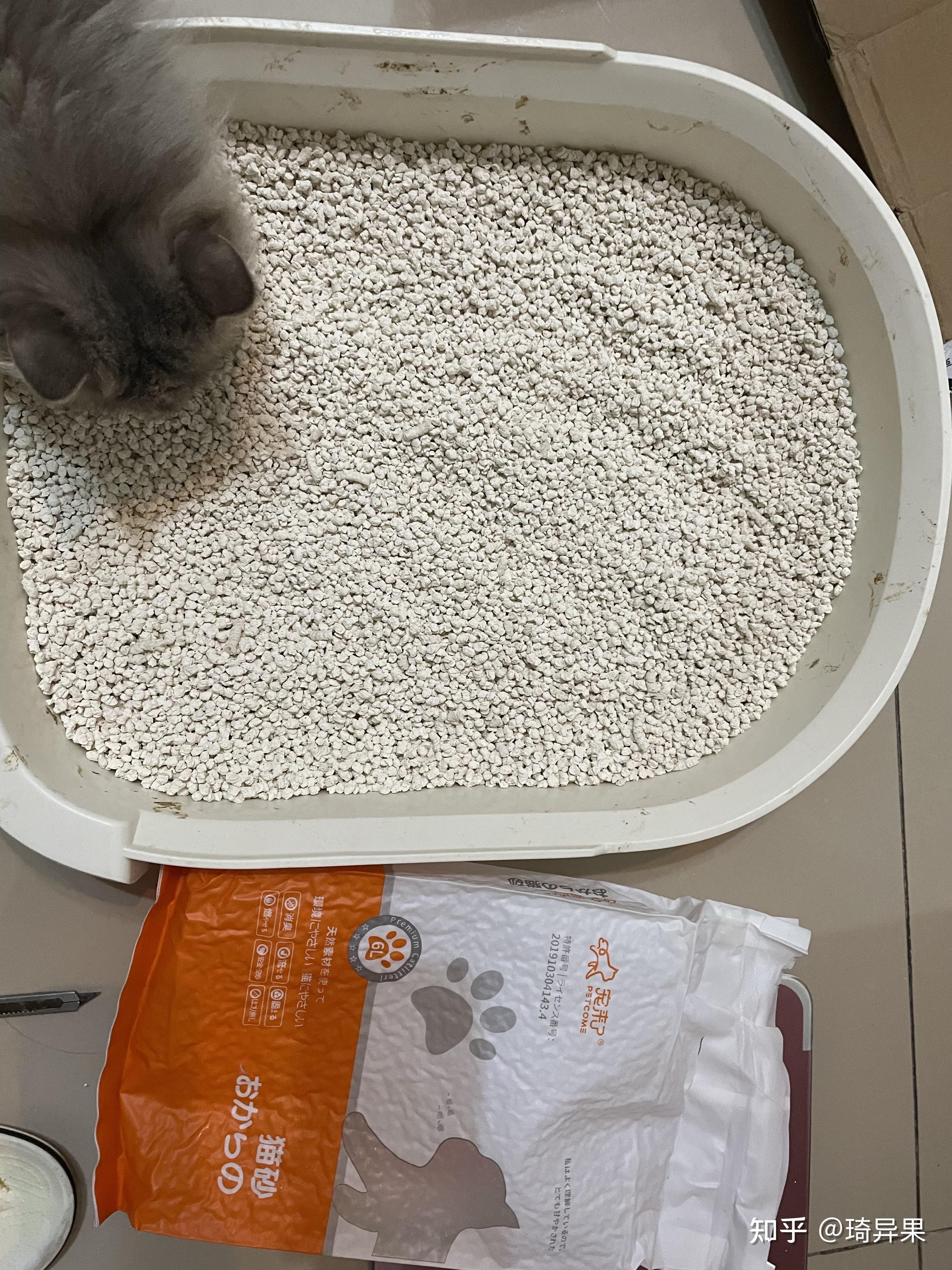 亲自用过的猫砂猫砂实战