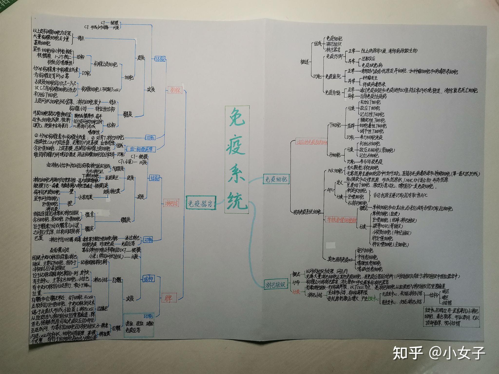 组胚思维导图手写图片