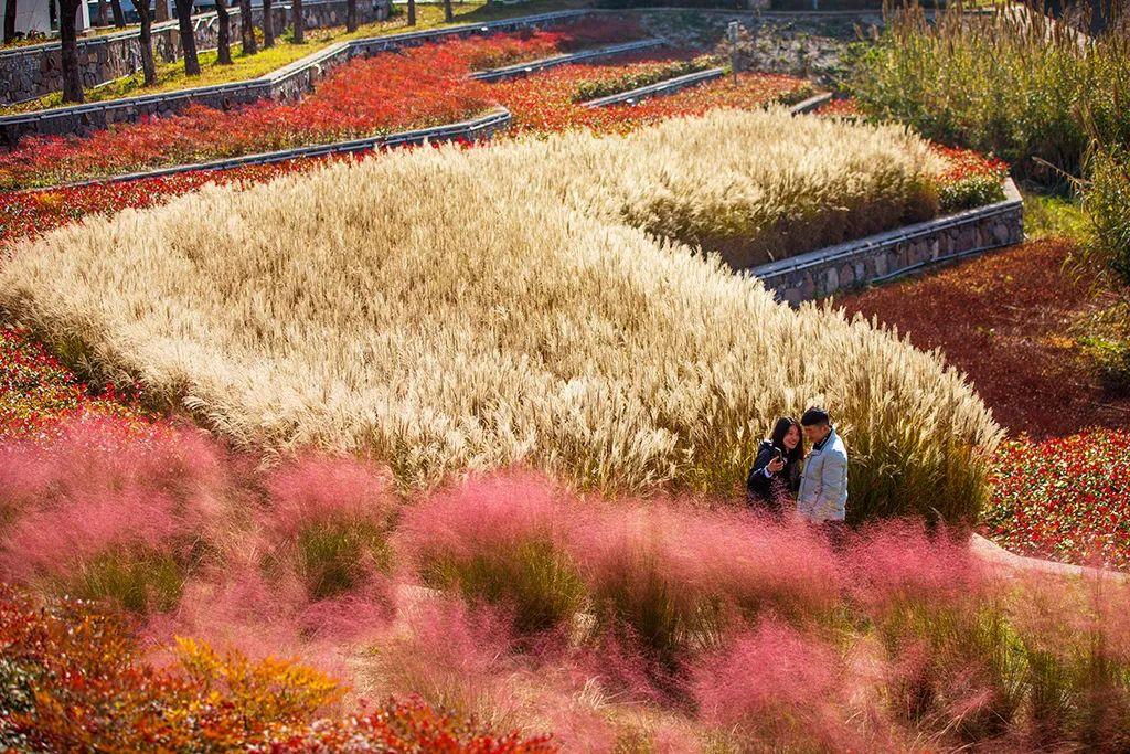 西安雁南公园:历史遗迹上的城市绿心 - 知乎