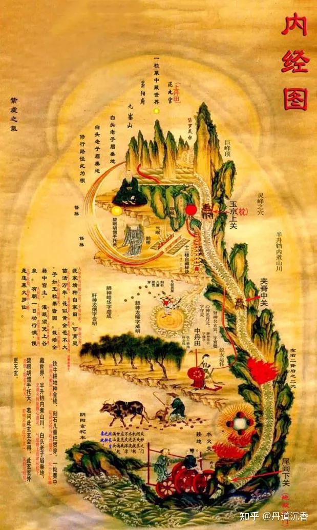 是玄冥反应(好转反应、排病反应、调节反应)还是走火入魔? - 知乎